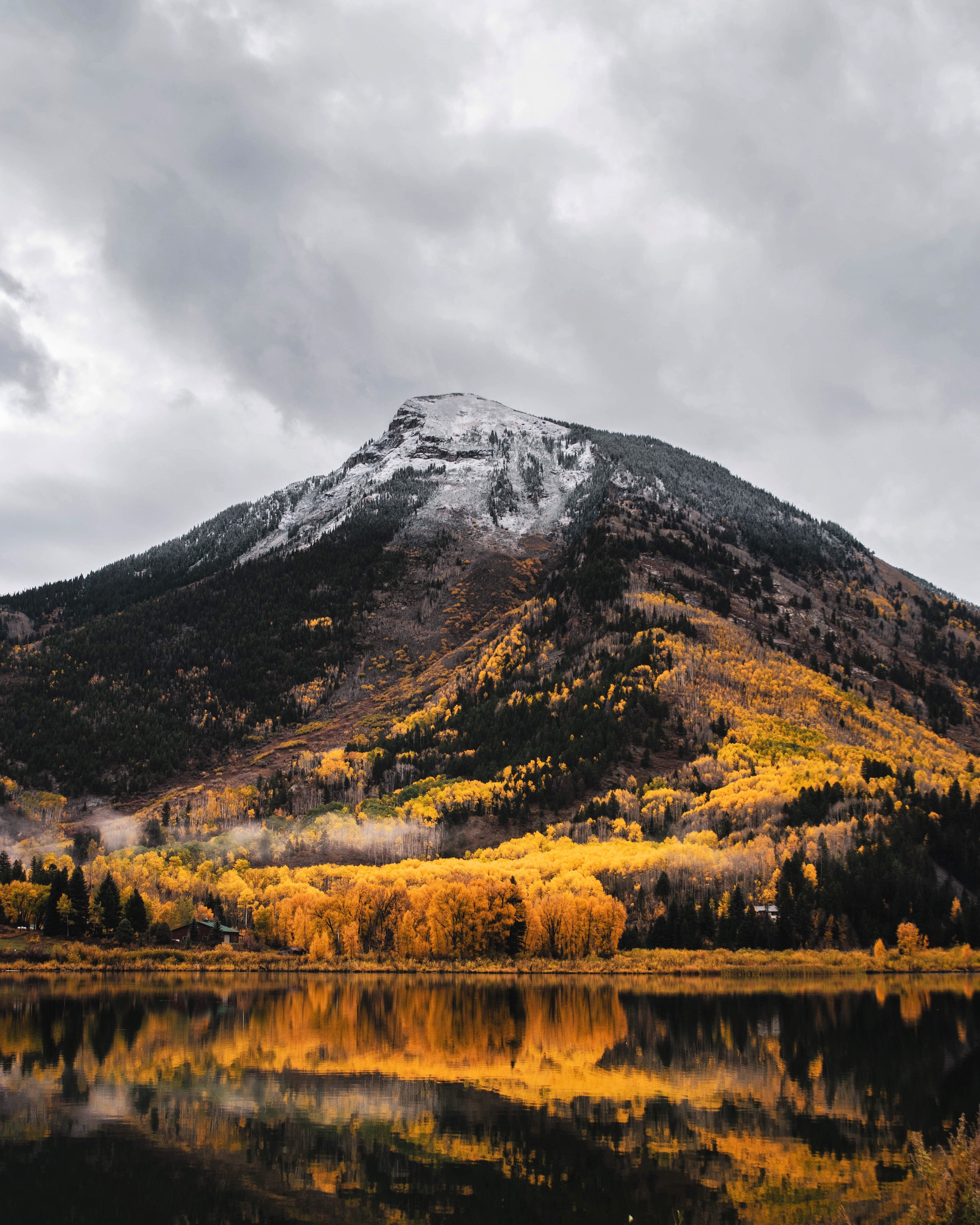 nature-1